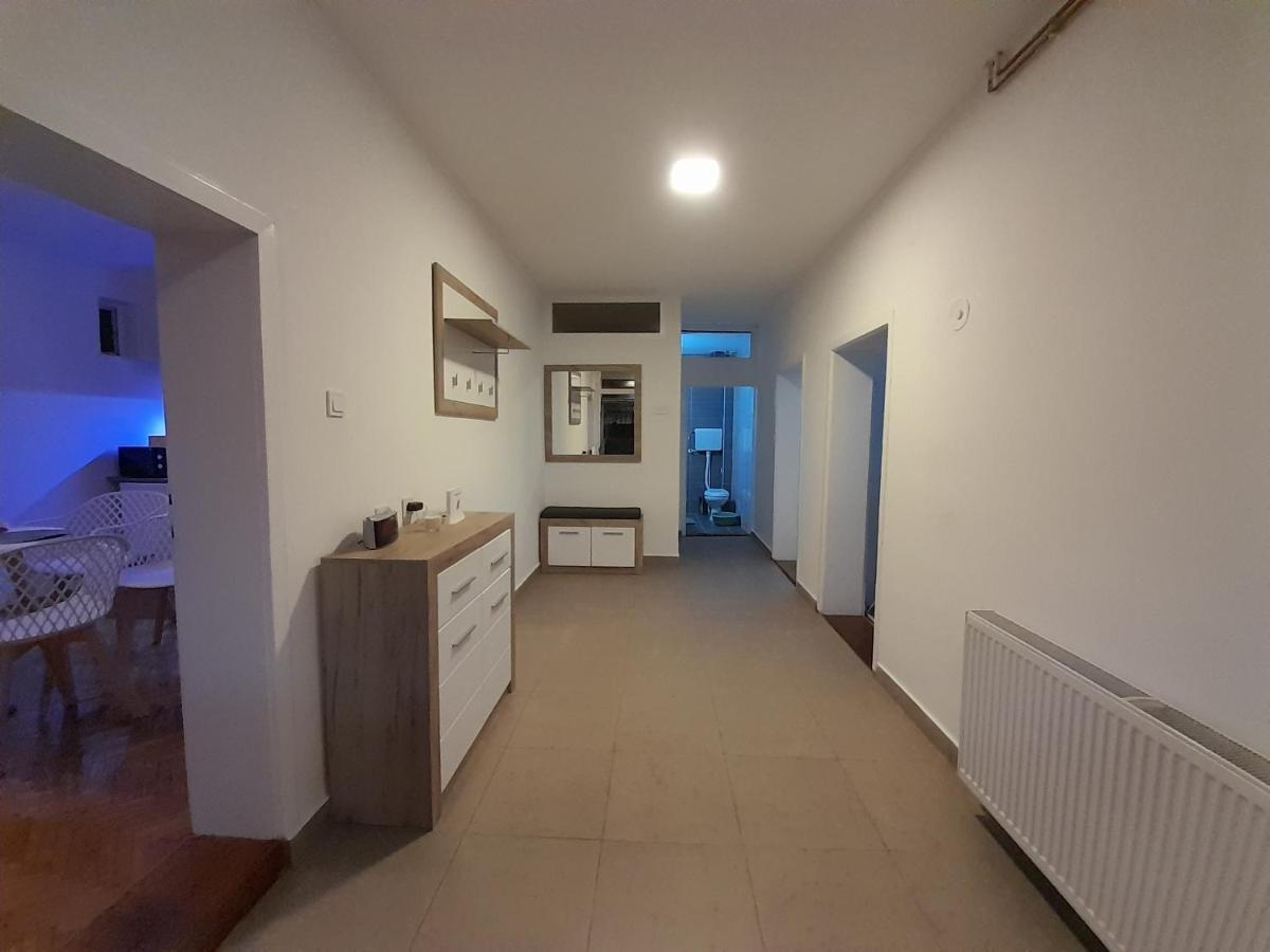 פירוט Apartman Stevan מראה חיצוני תמונה