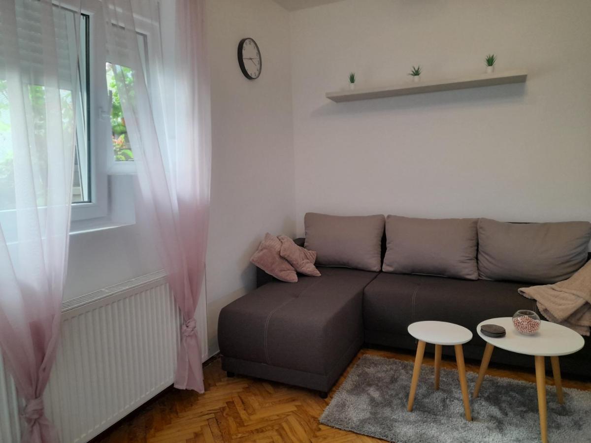 פירוט Apartman Stevan מראה חיצוני תמונה
